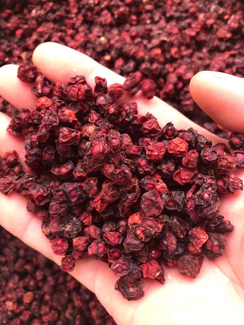 东北五味子:自然精华与健康密码